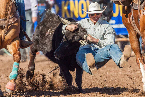 Photograph Arianna Grainey Rodeo on One Eyeland