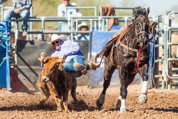 Photograph Arianna Grainey Rodeo on One Eyeland