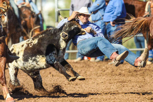 Photograph Arianna Grainey Rodeo on One Eyeland