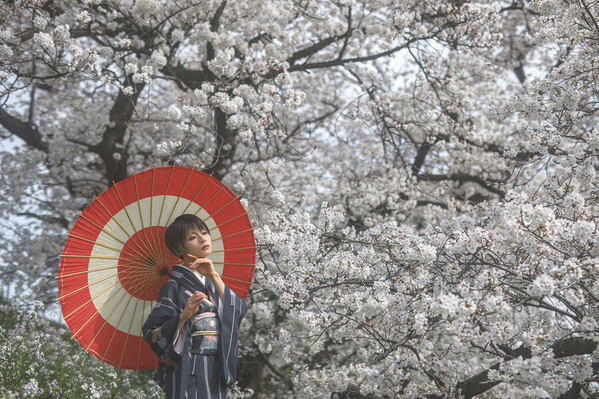 Photograph Setsuna Kurouzu Sakura on One Eyeland