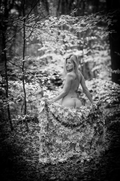 Photograph Thierry Smets Le Manteau De Feuilles on One Eyeland
