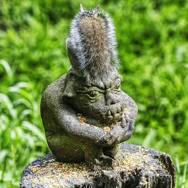Photograph Larry Hamill Grumbles New Do on One Eyeland