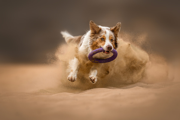 Photograph Lucie Nermutova Pure Action on One Eyeland