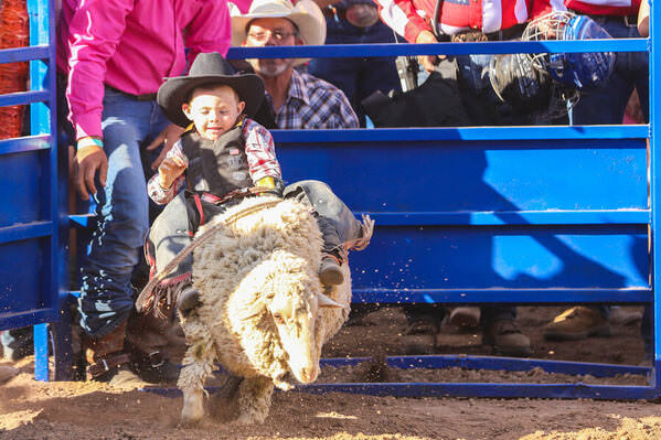 Photograph Arianna Grainey Mutton Busting on One Eyeland