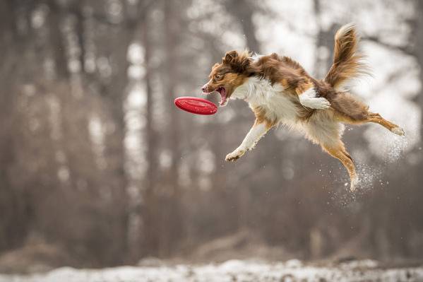 Photograph Lucie Nermutova Time To Play on One Eyeland