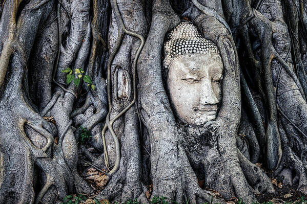 Photograph Aung Chan Thar The Face on One Eyeland