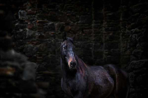 Photograph Denisa Zbrankova Albaniova Dark Soul on One Eyeland