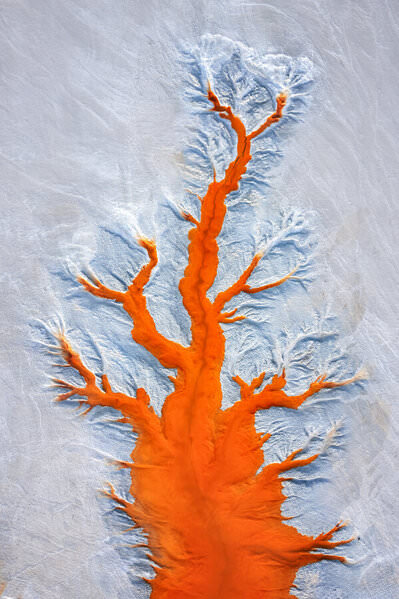 Photograph Daniel Vine Garcia The Tree on One Eyeland