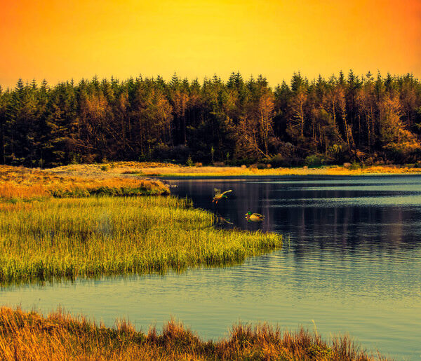Photograph Diana Ivanova The Lost Lake on One Eyeland