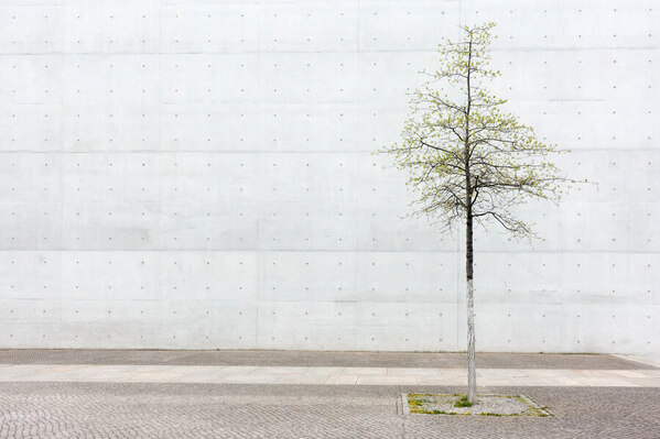 Photograph Rafa Herrero Berlin on One Eyeland
