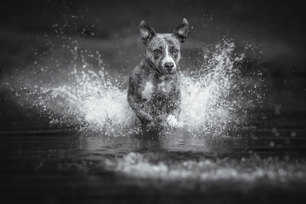 Photograph Lucie Nermutova Splash Moment on One Eyeland