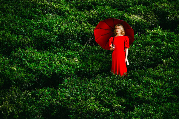 Photograph Ruslan Bolgov Red Tea Delight on One Eyeland