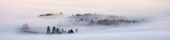 Photograph Judith Kuhn Autumn Fog on One Eyeland
