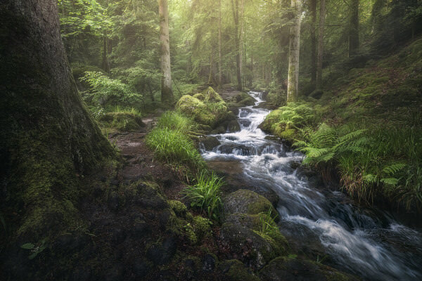 Photograph Benjamin Hoeger Dusk Stream on One Eyeland