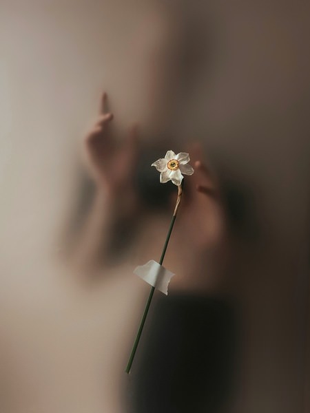 Photograph Tatyana Shakhova A Parallel World on One Eyeland