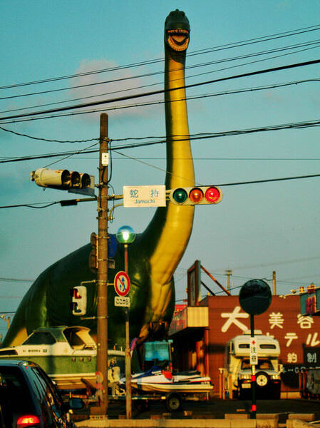 Photograph Mel Yukiina Dinosaur on One Eyeland