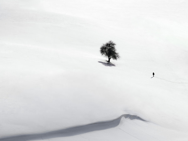Photograph Mohammad Alipour Winter on One Eyeland