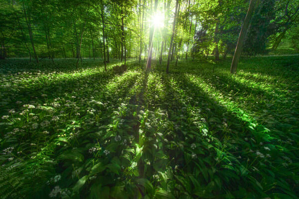 Photograph Markus Albert Wild Light on One Eyeland