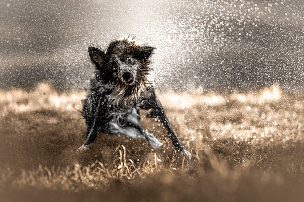 Photograph Lucie Nermutova Joy In Motion on One Eyeland