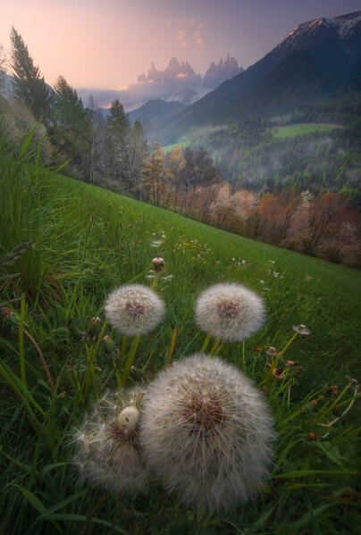 Photograph Markus Albert Spring Stillness on One Eyeland
