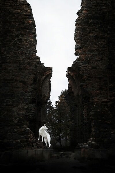 Photograph Denisa Zbrankova Albaniova Guardian on One Eyeland