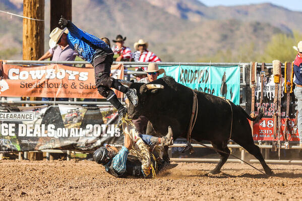 Photograph Arianna Grainey Lost Dutchman Days on One Eyeland