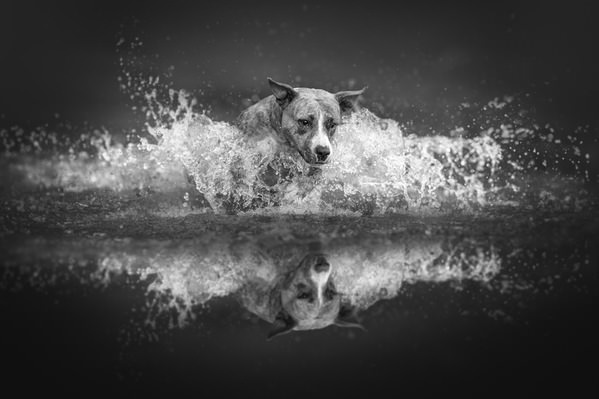 Photograph Lucie Nermutova Mirror Chase on One Eyeland