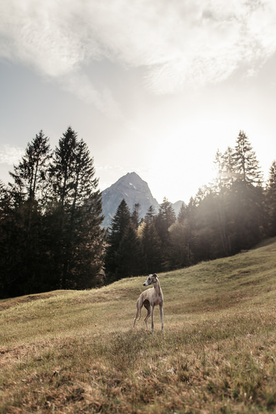 Photograph Fabienne Gassmann Beauty In The Mountains on One Eyeland