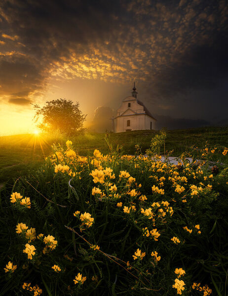 Photograph Jan Ilkovic Golden Sunset on One Eyeland