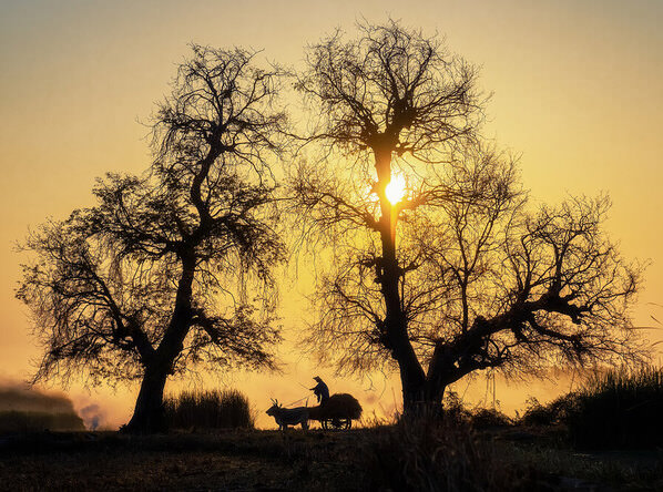 Photograph Aung Chan Thar Morning on One Eyeland