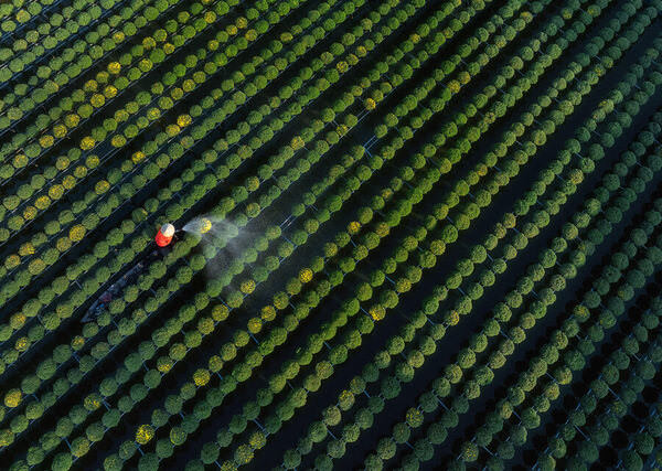 Photograph Aung Chan Thar Pattern on One Eyeland