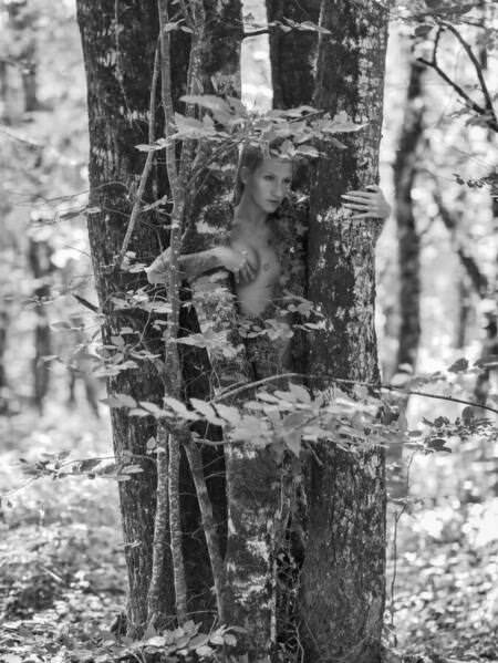 Photograph Thierry Smets Chene on One Eyeland