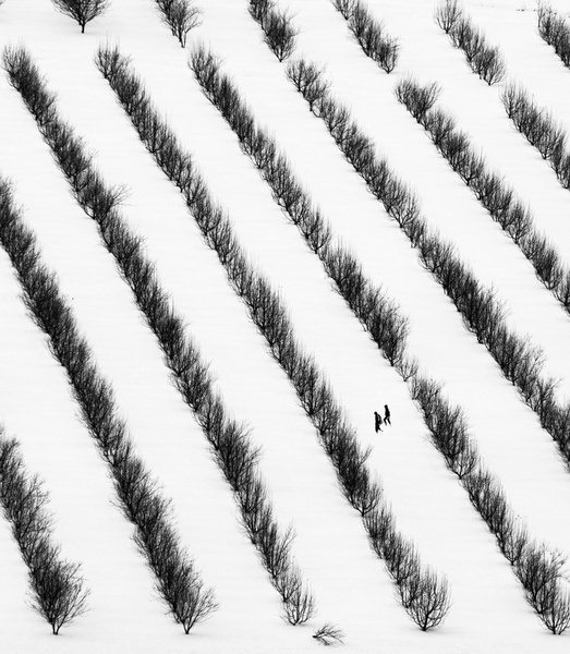 Photograph Mohammad Alipour Winter on One Eyeland
