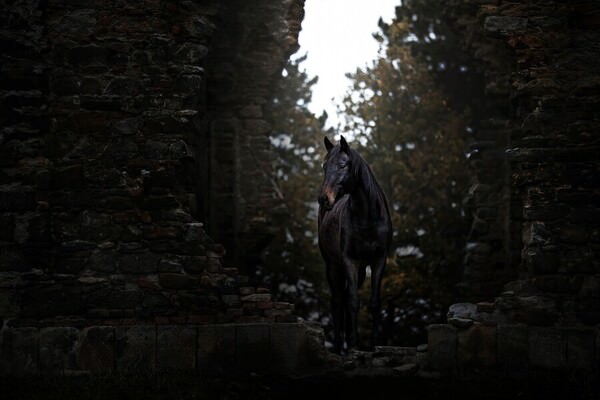 Photograph Denisa Zbrankova Albaniova Dark Lord on One Eyeland