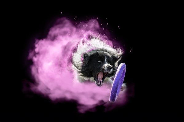 Photograph Lucie Nermutova Puller Fury on One Eyeland