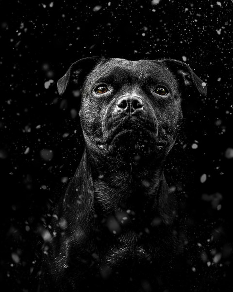 Photograph Lucie Nermutova In The Shadows Of Winter on One Eyeland