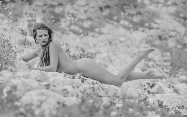 Photograph Thierry Smets Les Fleurs Sauvages on One Eyeland