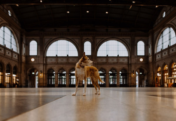 Photograph Fabienne Gassmann In The Big City on One Eyeland