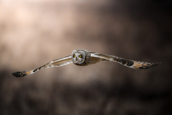 Photograph Hiroki Matsubara To The Light on One Eyeland