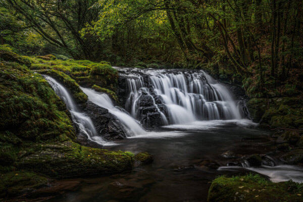 Photograph Hiroki Matsubara Streams In Early Summer on One Eyeland