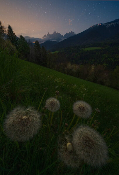 Photograph Markus Albert Early Bloom on One Eyeland