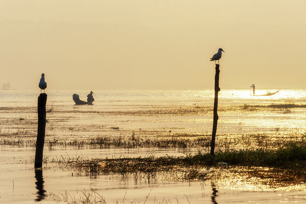 Photograph Aung Chan Thar Morning on One Eyeland