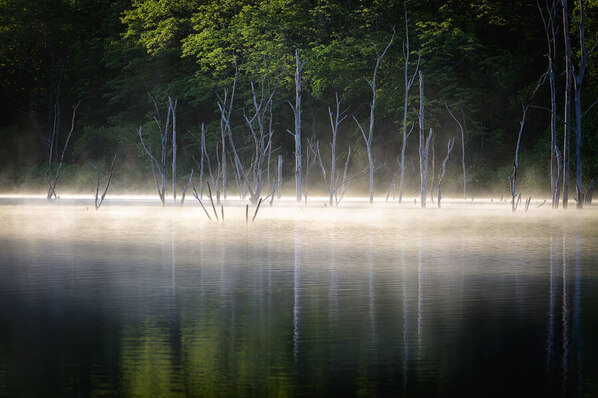 Photograph Yuusei Nagahata Lake Surface Sparkling In The Morning Sun on One Eyeland