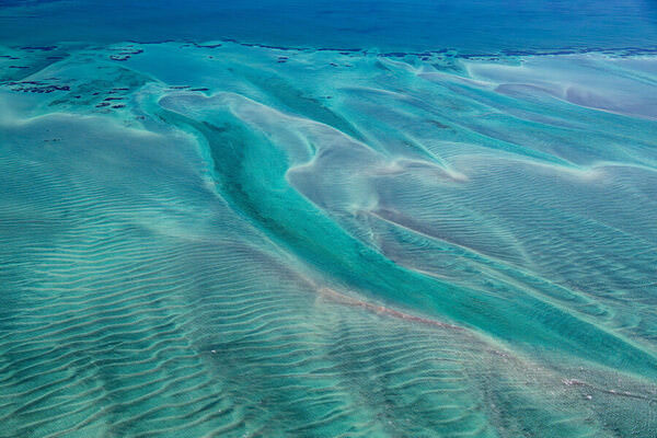 Photograph Satheesh Nair Shark Bay 5777 on One Eyeland