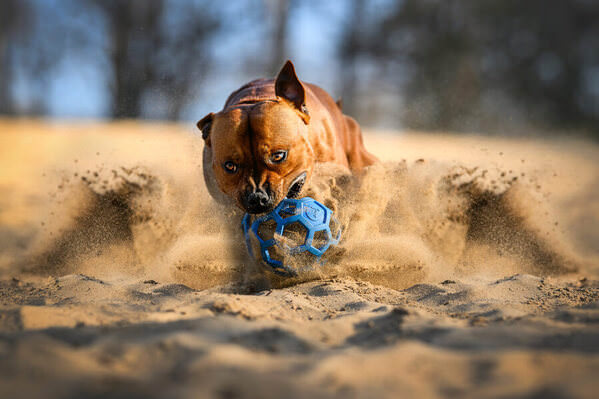 Photograph Lucie Nermutova The Sandstorm Chaser on One Eyeland