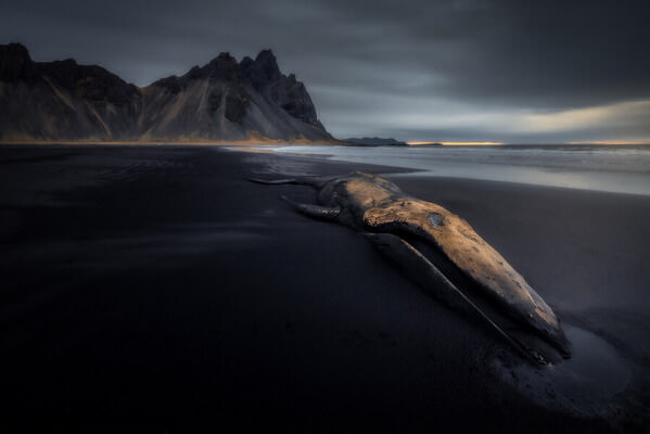 Photograph Gabriel Jakab Silent Encounter on One Eyeland