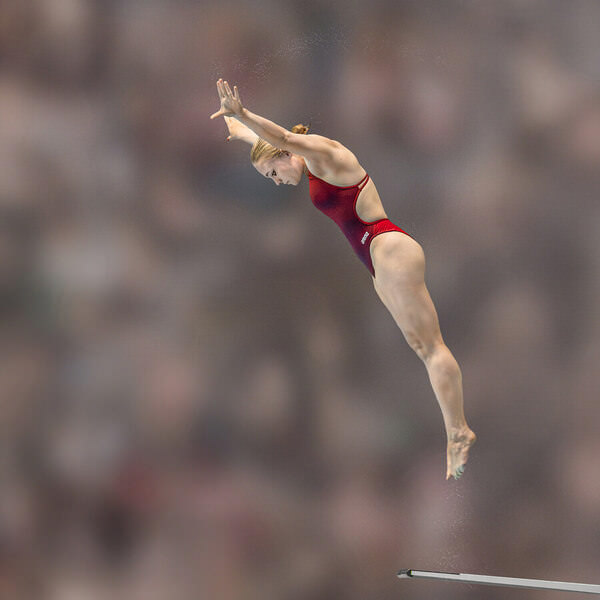 Photograph Eddie Leach The Dive on One Eyeland