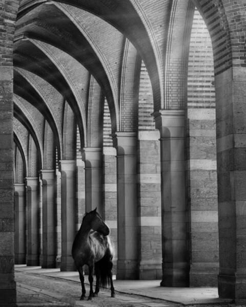 Photograph Penny York Arc on One Eyeland