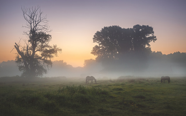 Photograph Martin Kucera When The Sun Comes Up on One Eyeland