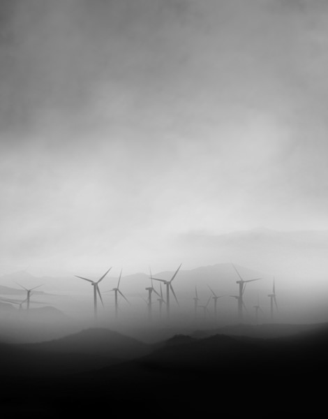 Photograph Mostafa Nodeh Silence In The Wind on One Eyeland